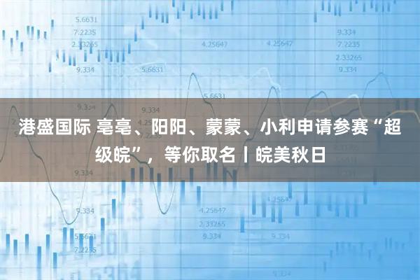 港盛国际 亳亳、阳阳、蒙蒙、小利申请参赛“超级皖”,等你取名丨皖美秋日