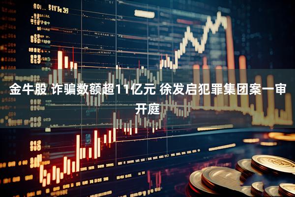 金牛股 诈骗数额超11亿元 徐发启犯罪集团案一审开庭